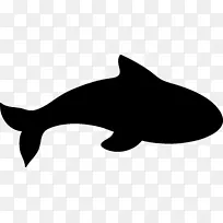 胡须猫海豚黑白剪贴画