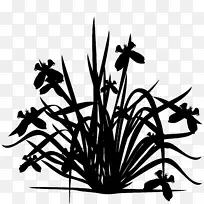 黑白剪贴画植物茎花叶