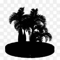 亚洲棕榈黑白枣棕榈树剪影