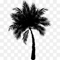 棕榈树亚洲棕榈枣棕榈树椰子剪贴画