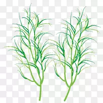 摄影版税-免费插图图像-天空
