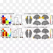 脑电图功能磁共振成像分析研究脑-脑