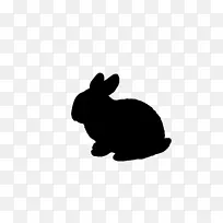家养兔子复活节兔黑白兔