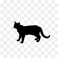 胡须马克斯猫家短毛猫0格里斯