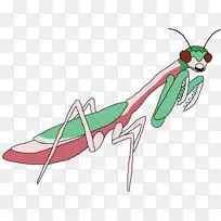 螳螂插图剪贴画昆虫产品设计.昆虫