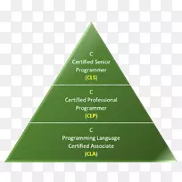 程序设计语言可持续发展可持续性计算机编程-ceacuteu图标