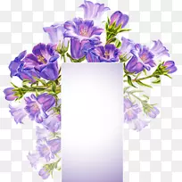 花卉设计画框边框.花