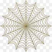 蜘蛛网图形摄影插图.装饰线