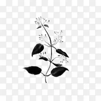 细枝黑白植物茎叶字体