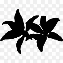 黑白剪贴画剪影叶开花植物