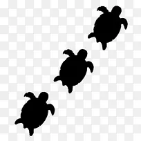 海龟剪贴画黑白-米龟