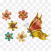蝴蝶花瓣膜果实