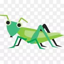 剪贴画甲虫昆虫形象卡通蝗虫