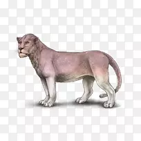 狮子形象猫科豹美洲虎-狮子