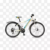 电动自行车山地车Winora集团自行车框架-自行车