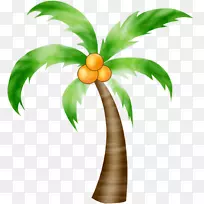 椰子图像png图片派对夏威夷语椰子