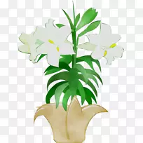 花卉设计切花植物茎叶