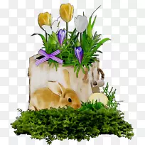 复活节兔子花设计兔