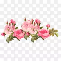png图片剪辑艺术花卉设计图像花