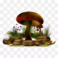 png图片剪辑艺术蘑菇图像真菌