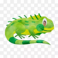 蜥蜴爬行动物绿蜥蜴变色龙剪贴画
