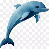 海豚图形剪贴画卡通