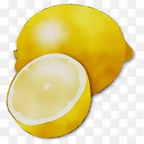 柠檬剪贴画图形食物