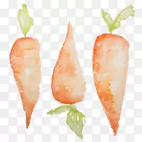 剪贴画胡萝卜水彩画png图片图片胡萝卜