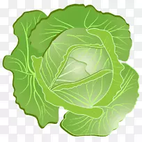 卷心菜夹艺术png图片蔬菜图形.卷心菜