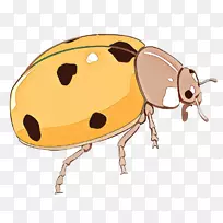 象鼻虫剪贴画昆虫产品设计鼻子