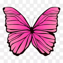png图片波莱塔图像设计蝴蝶