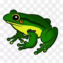 青蛙剪贴画透明png图片图形.青蛙