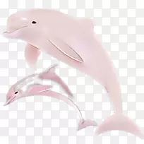 海豚产品设计粉红m