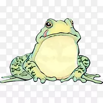蟾蜍真青蛙剪贴画树蛙