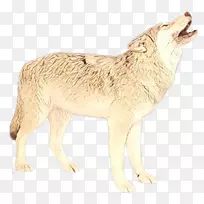 阿拉斯加冻原狼野狗动物毛皮