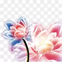 神圣莲花中秋节图片png图片桌面壁纸