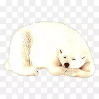 胡须狗北极熊北极狐猫