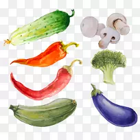 蔬菜水彩画插图黄瓜-黄瓜旗