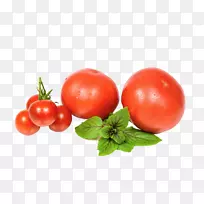番茄有机食品配方沙拉
