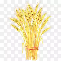 小麦剪贴画图形麦片
