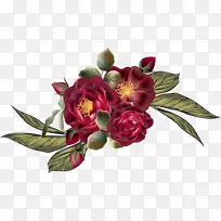 花卉设计，切花，花园玫瑰，卷心菜，玫瑰-三月PNG PSD