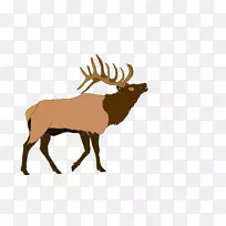 麋鹿插图图形驼鹿-麋鹿剪影PNG驼鹿轮廓