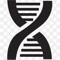 DNA核酸双螺旋图形欧式载体