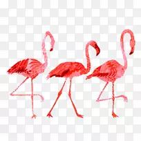 Flamingo图像水彩画贴纸.偏振片png覆盖