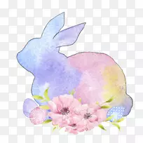 兔子形象设计水彩画插图-狐PNG水彩