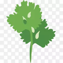 剪贴画绿叶植物茎
