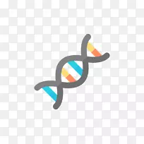 核酸双螺旋dna剪贴画计算机图标png网络图遗传学剪报部分png psd