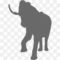 非洲灌木象亚洲象png网络图像-大象剪影Png黑色
