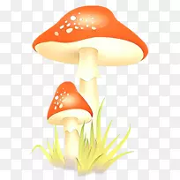 剪贴画插图png图片图像蘑菇