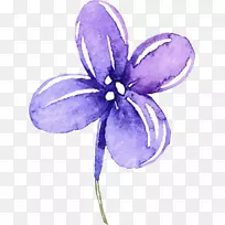 png图片剪辑艺术图像图形紫罗兰-紫色花朵PNG兔子